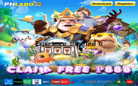 Experience the Thrill of Premium Online Gaming